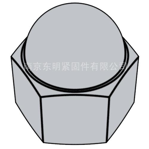 DIN 1587 - 2014 六角蓋型螺母，厚型