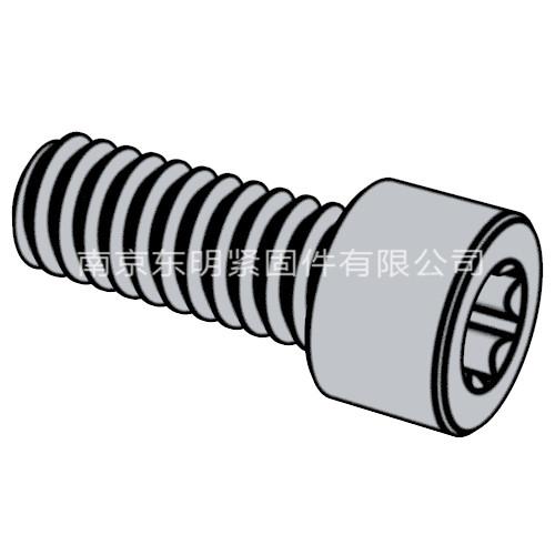 GB/T 6191 - 1986 8.8級 內(nèi)六角花形圓柱頭螺釘