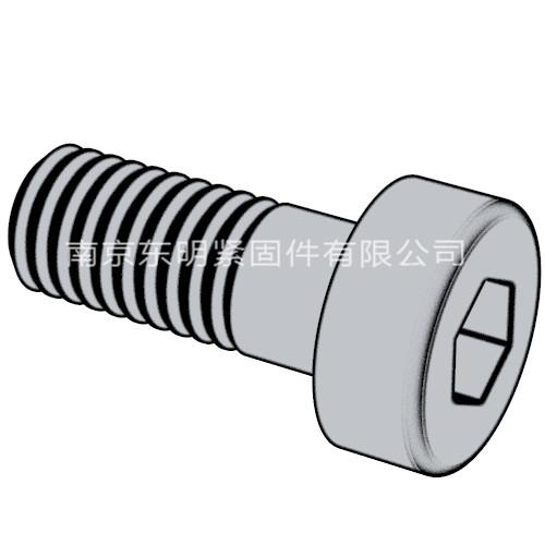 DIN 7984 - 1985 內(nèi)六角矮圓柱頭螺釘
